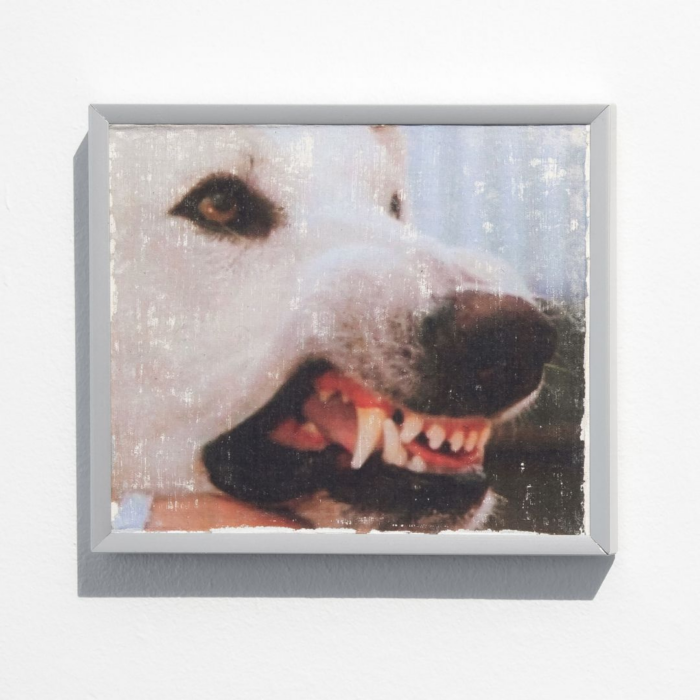Cão Branco III, Cão Branco, 2025 - Tetê Lian