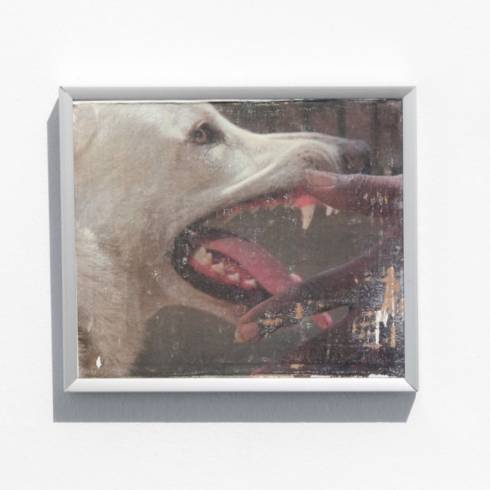 Cão Branco IV, Cão Branco, 2025 - Tetê Lian