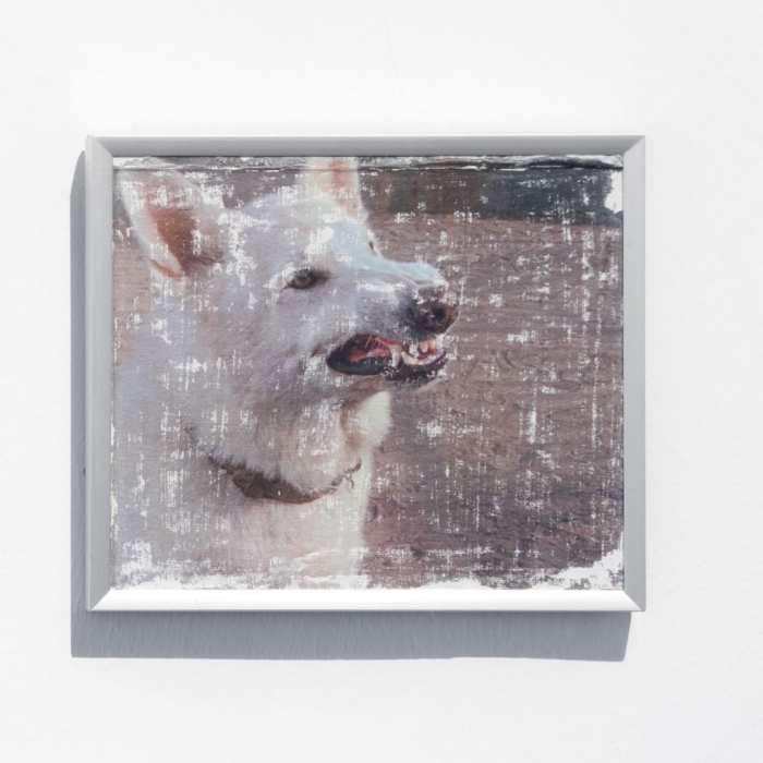 Cão Branco V, Cão Branco, 2025 - Tetê Lian