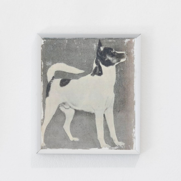 Cão de Canaã (Toro), Cão de Canaã, 2025 - Tetê Lian