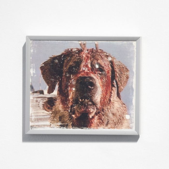 Cujo I, Cujo, 2025 - Tetê Lian