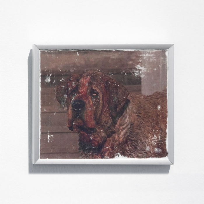 Cujo III, Cujo, 2025 - Tetê Lian
